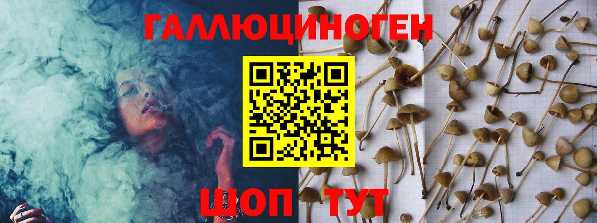 Псилоцибиновые грибы Magic Shrooms Обь
