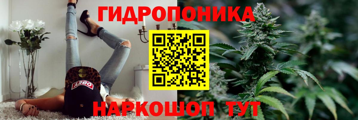 Обь  Шишки марихуана планчик  Вход с VPN  Канабис план  Бошки Шишки план 